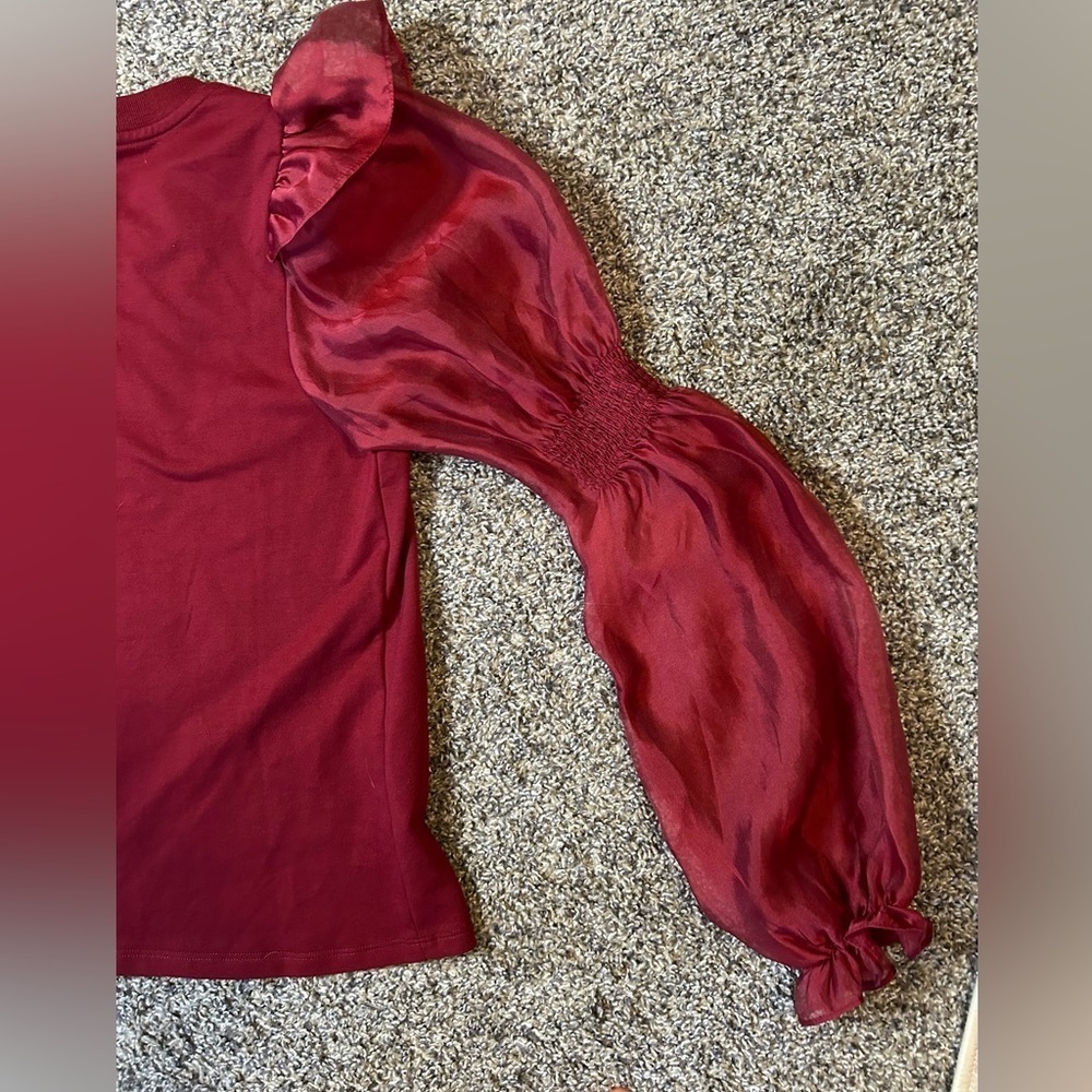 Anthropologie NWOT top with dramatic sheer sleeves size small - Picture 6 of 10